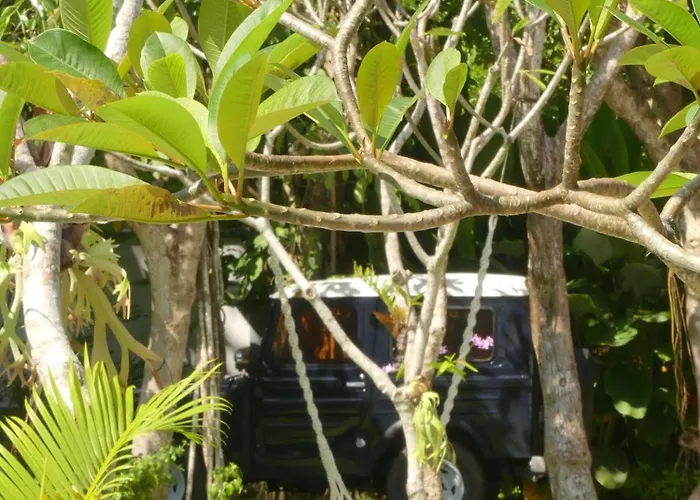 Nyang - Nyang Affittacamere Uluwatu